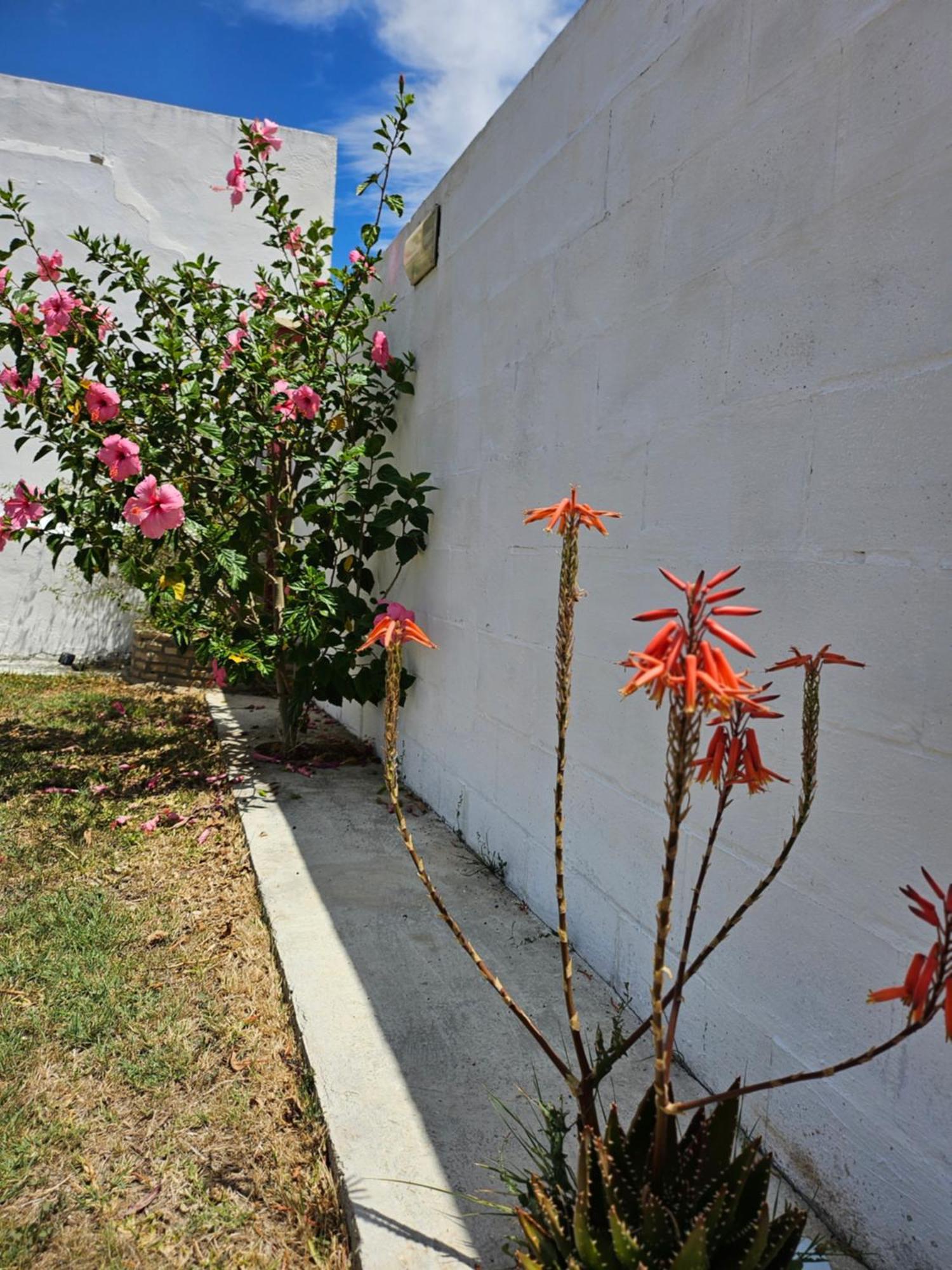 Villa Nonina Chiclana de la Frontera Extérieur photo